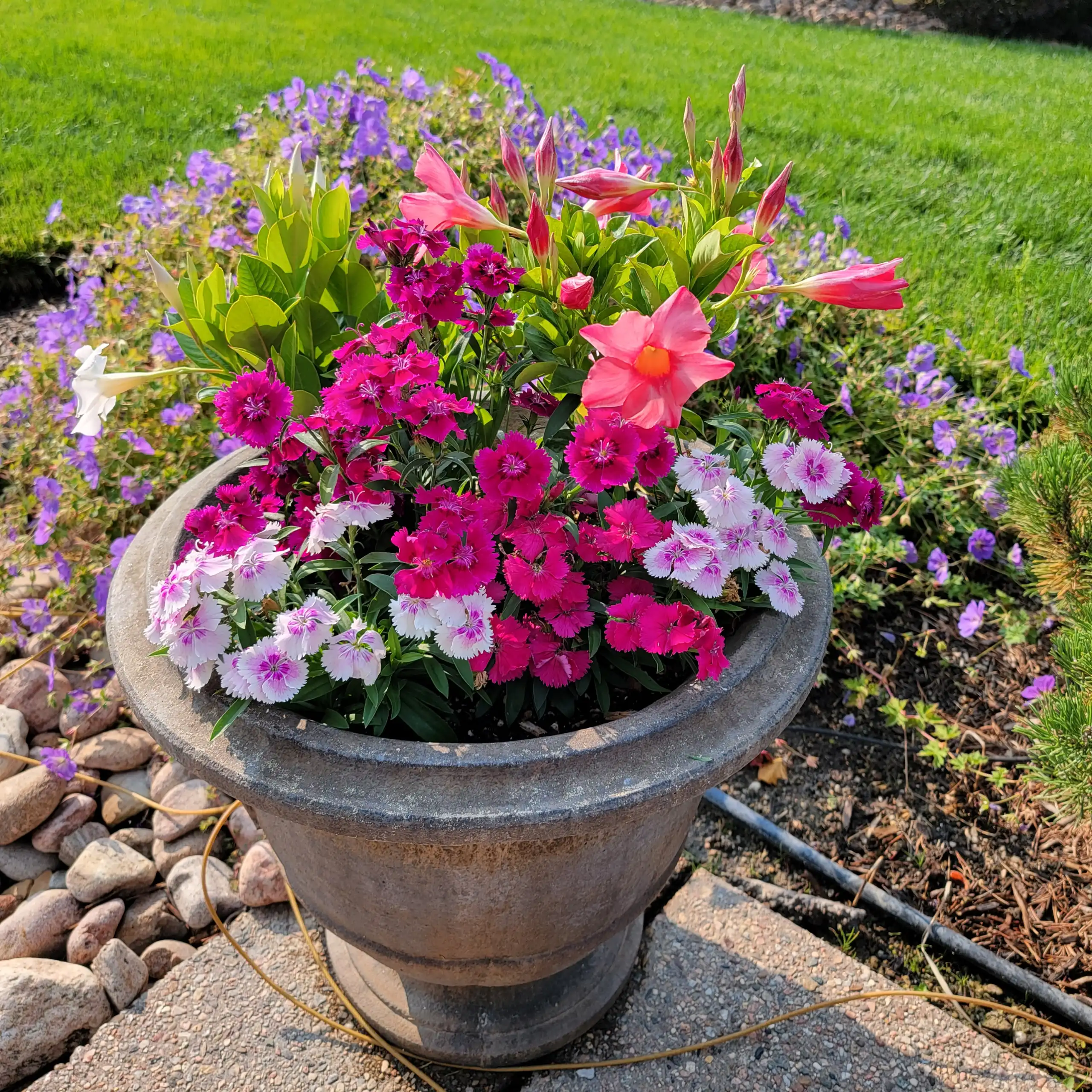 Colorado Springs, CO Irrigation Companies