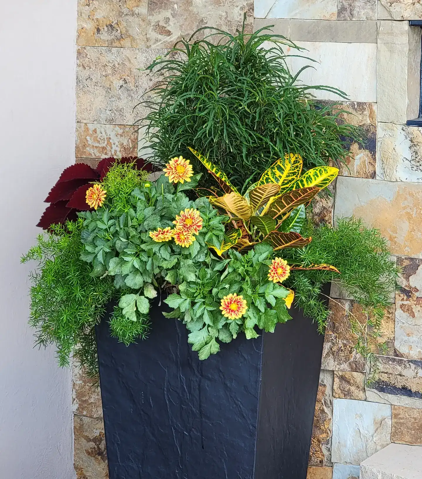 Gardening Services in Colorado Springs, CO