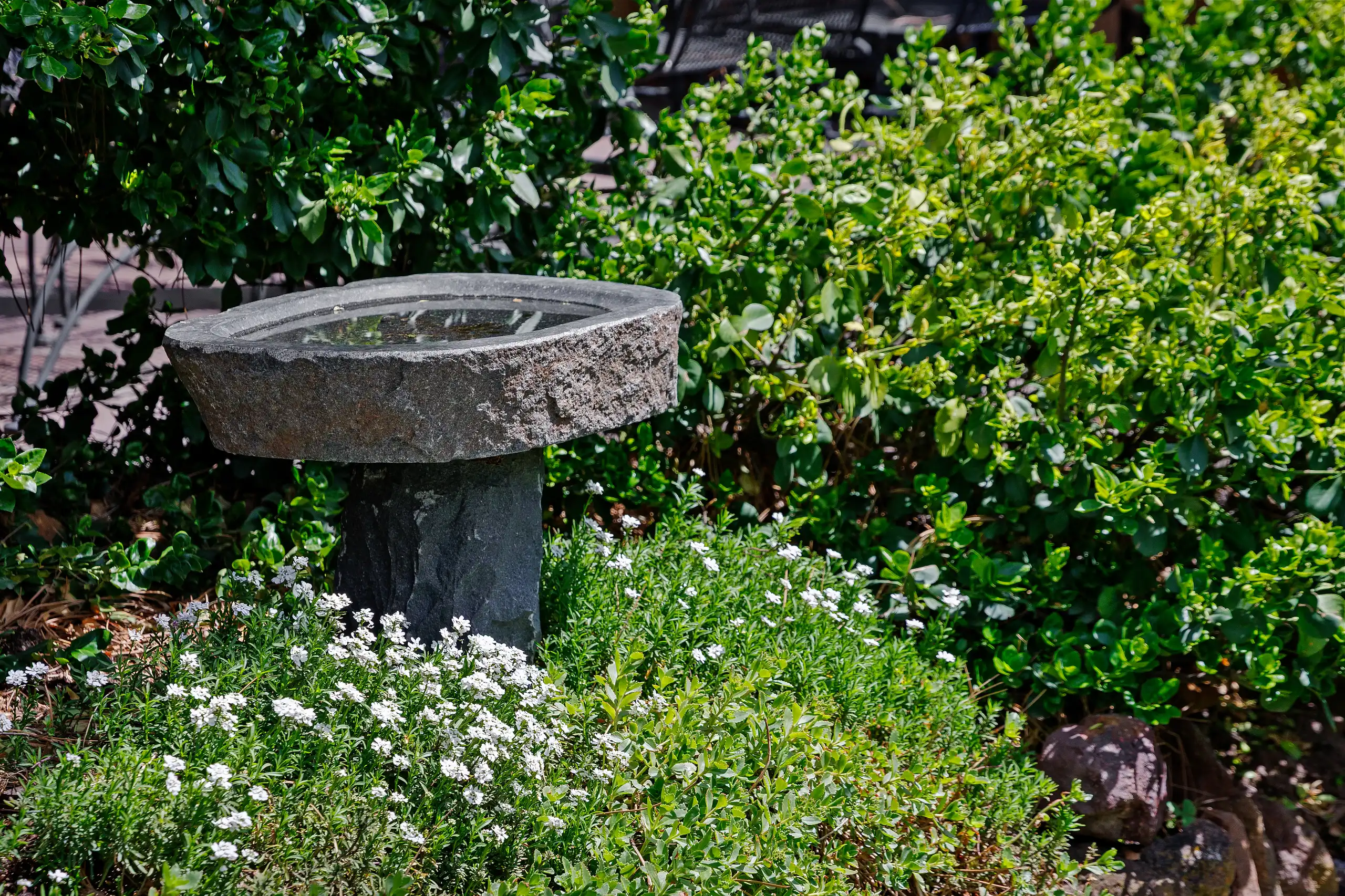Landscape Maintenance Packages in Colorado Springs, CO