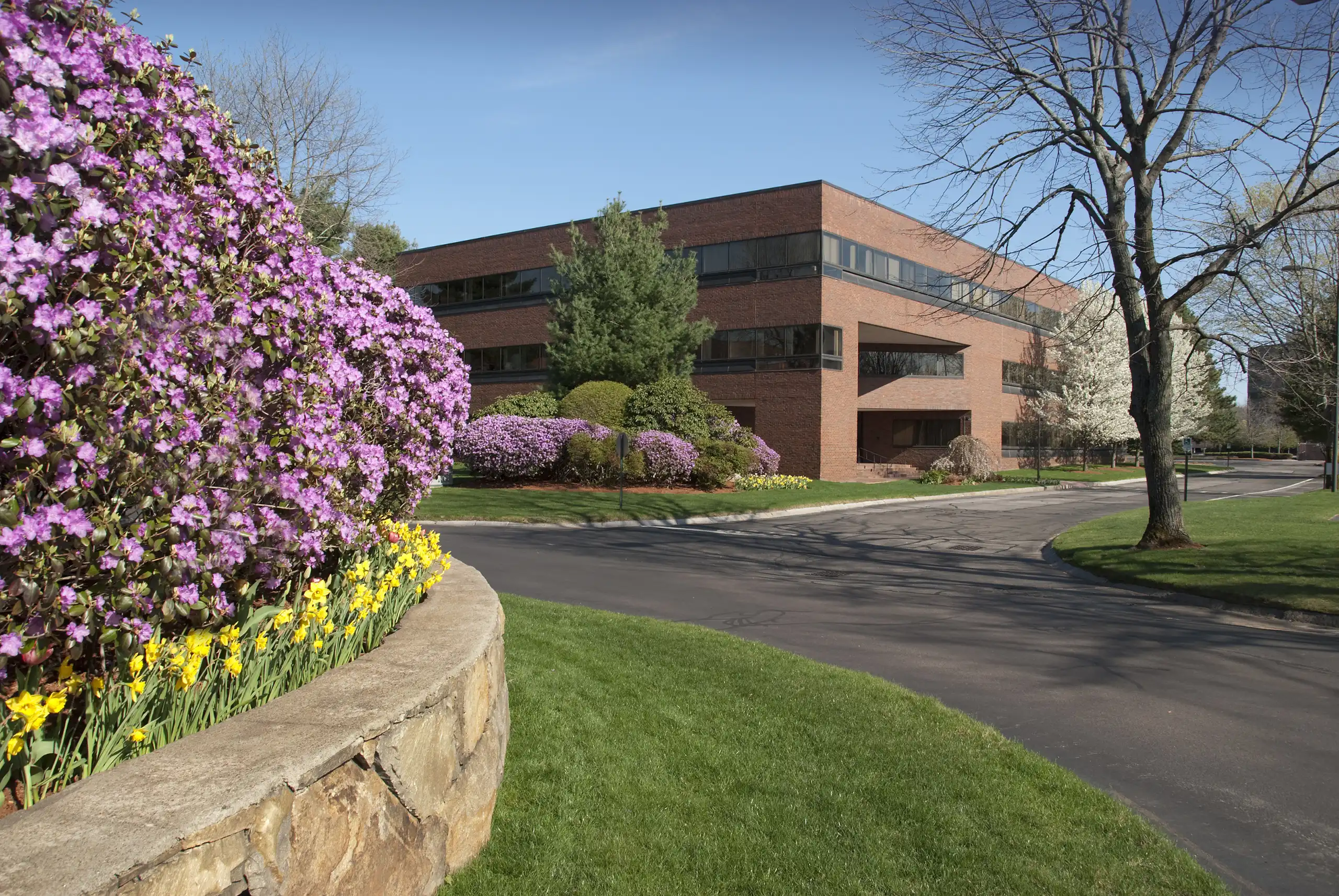 Colorado Springs, CO Commercial Landscaping Companies