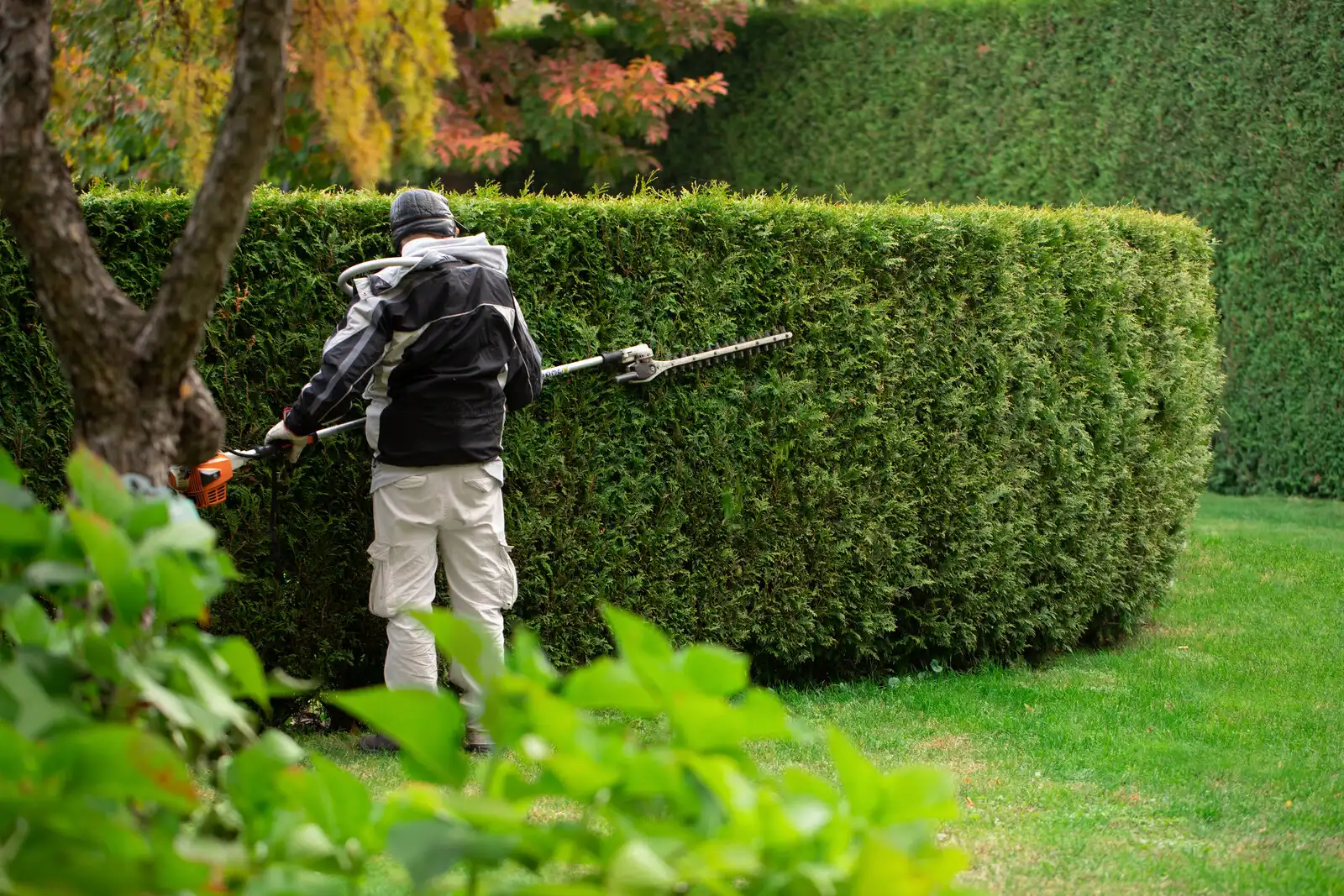 Colorado Springs, CO Commercial Landscaping Companies