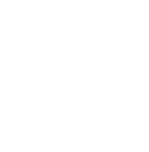 Stone Flower