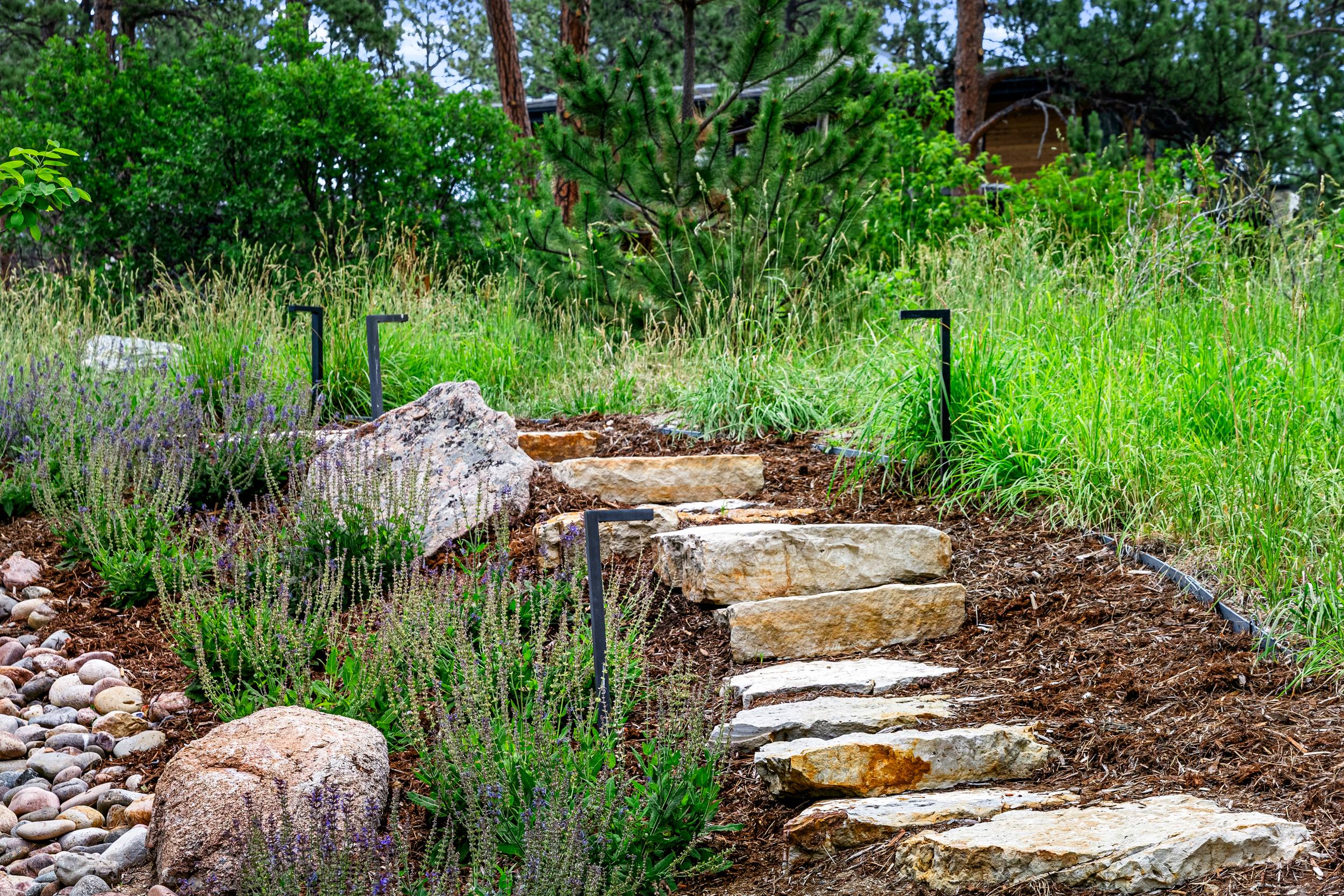 Landscape Maintenance Castle Rock, CO
