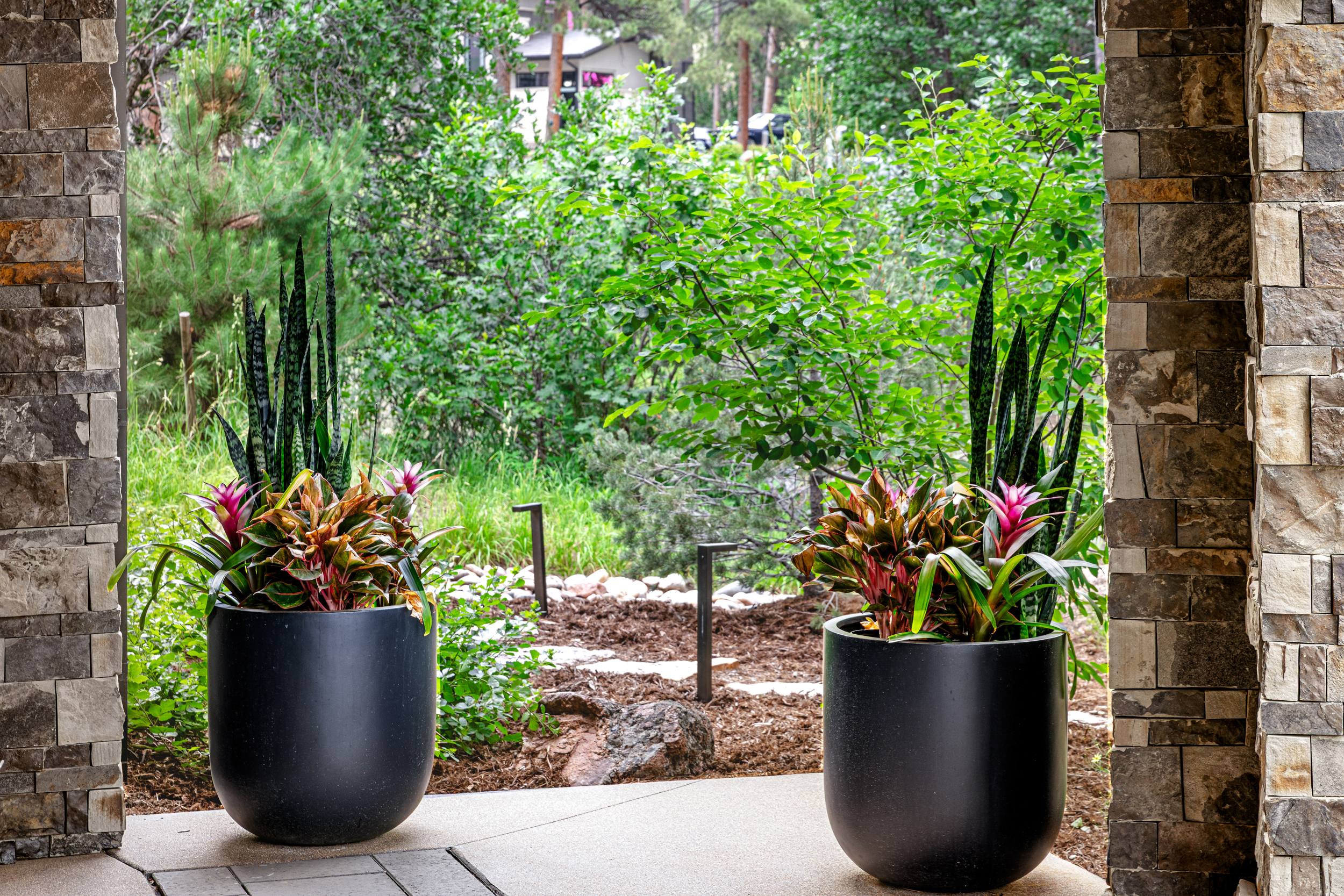 Fine Gardening Services in Castle Rock, CO