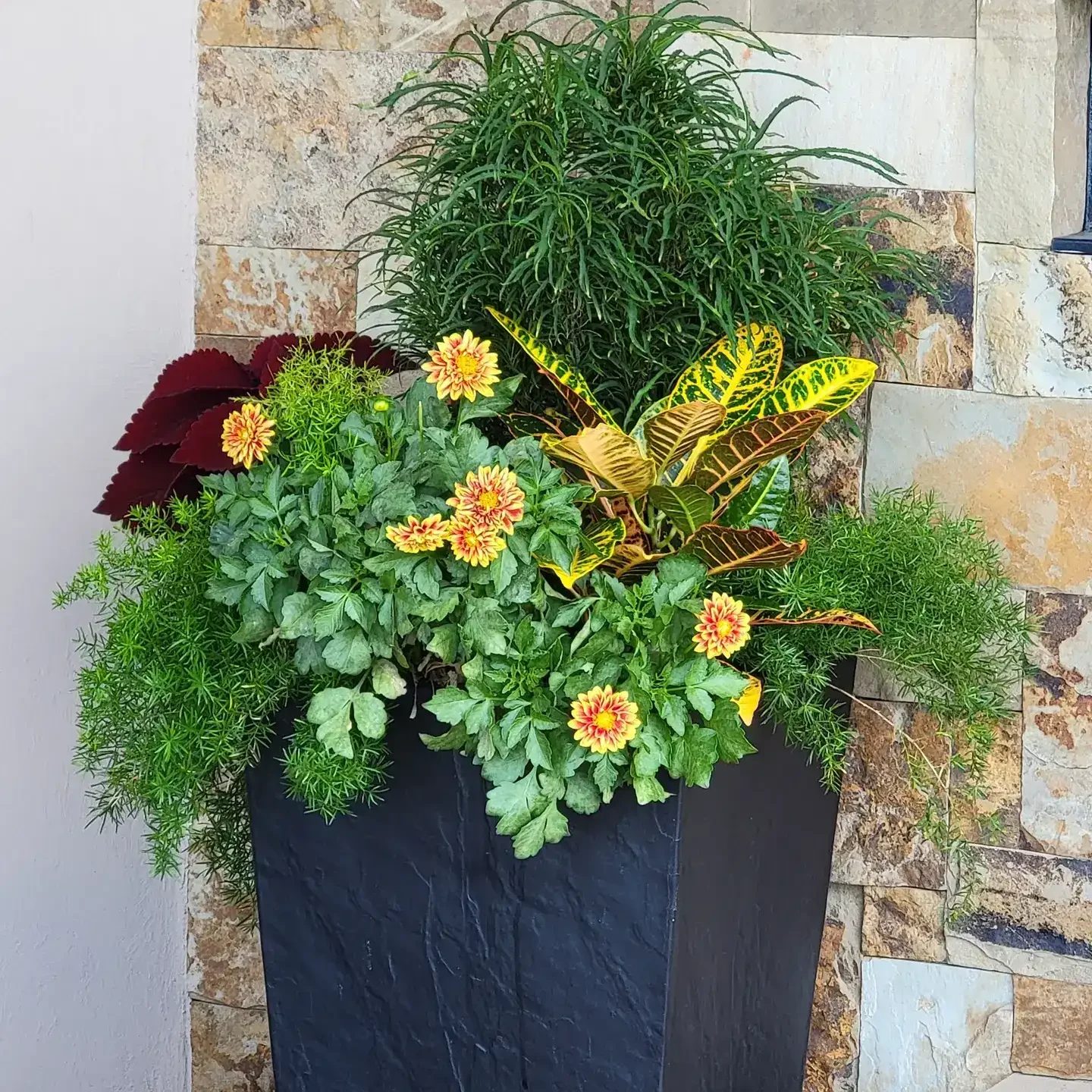Gardening Services in Colorado Springs, CO