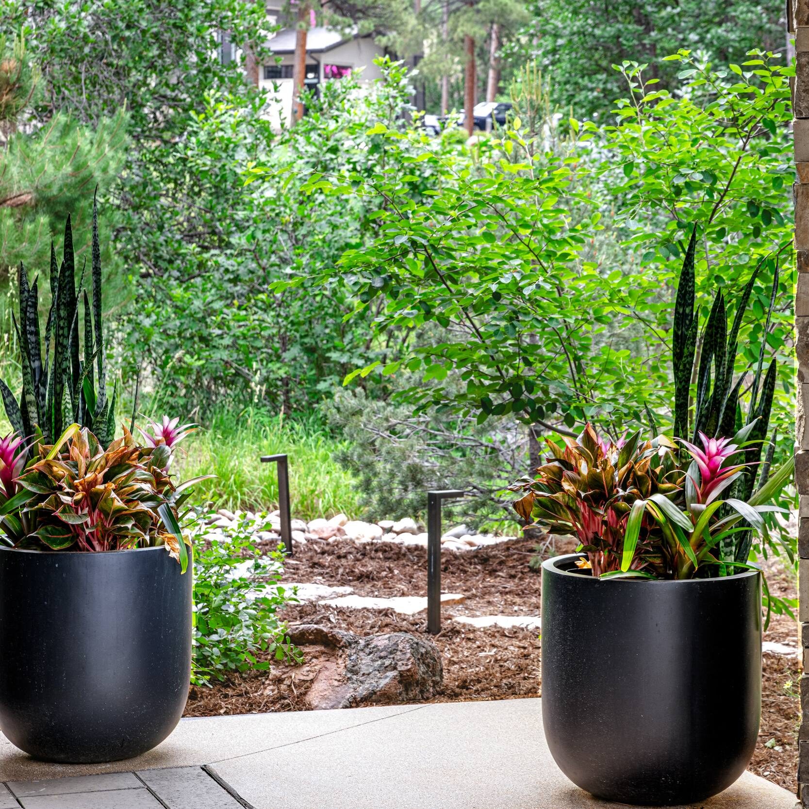 Fine Gardening Services in Castle Rock, CO