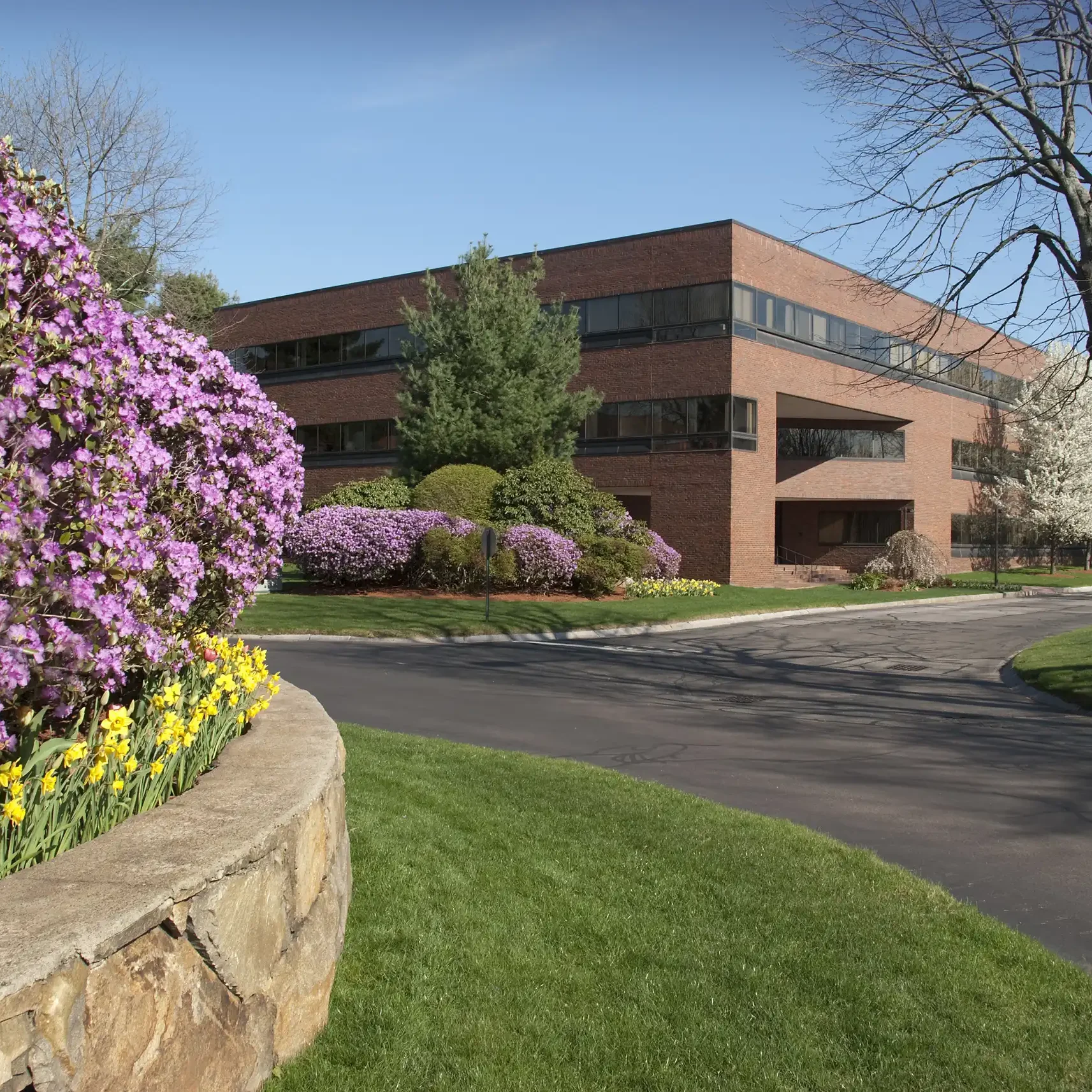 Colorado Springs, CO Commercial Landscaping Companies