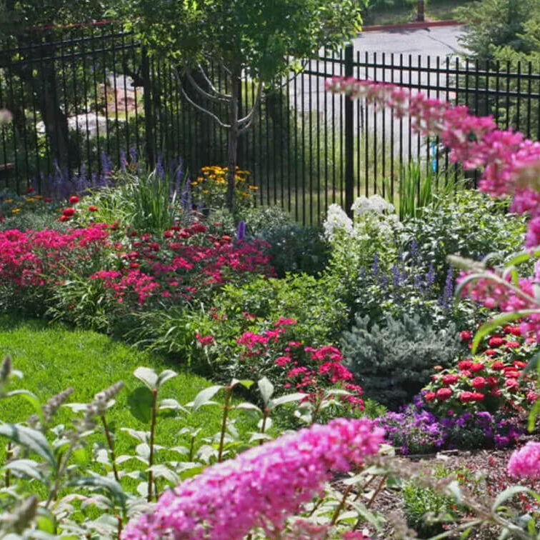 Landscape Maintenance Castle Rock, CO